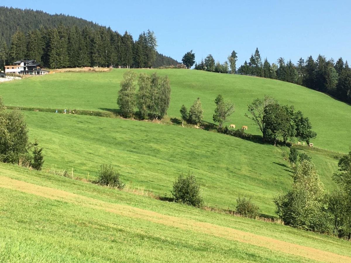 Traumblick Dachstein Apartment Radstadt Bagian luar foto